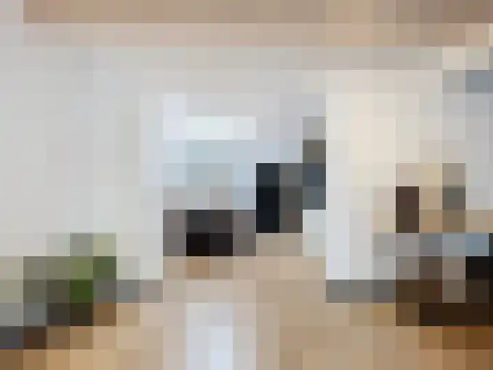 Ridderstraat 65 Sluis thumbnail 9