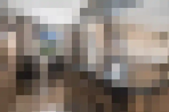 Ridderstraat 8 Etten-Leur thumbnail 11