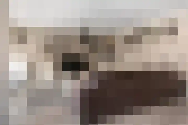 Ridderstraat 8 Etten-Leur thumbnail 5