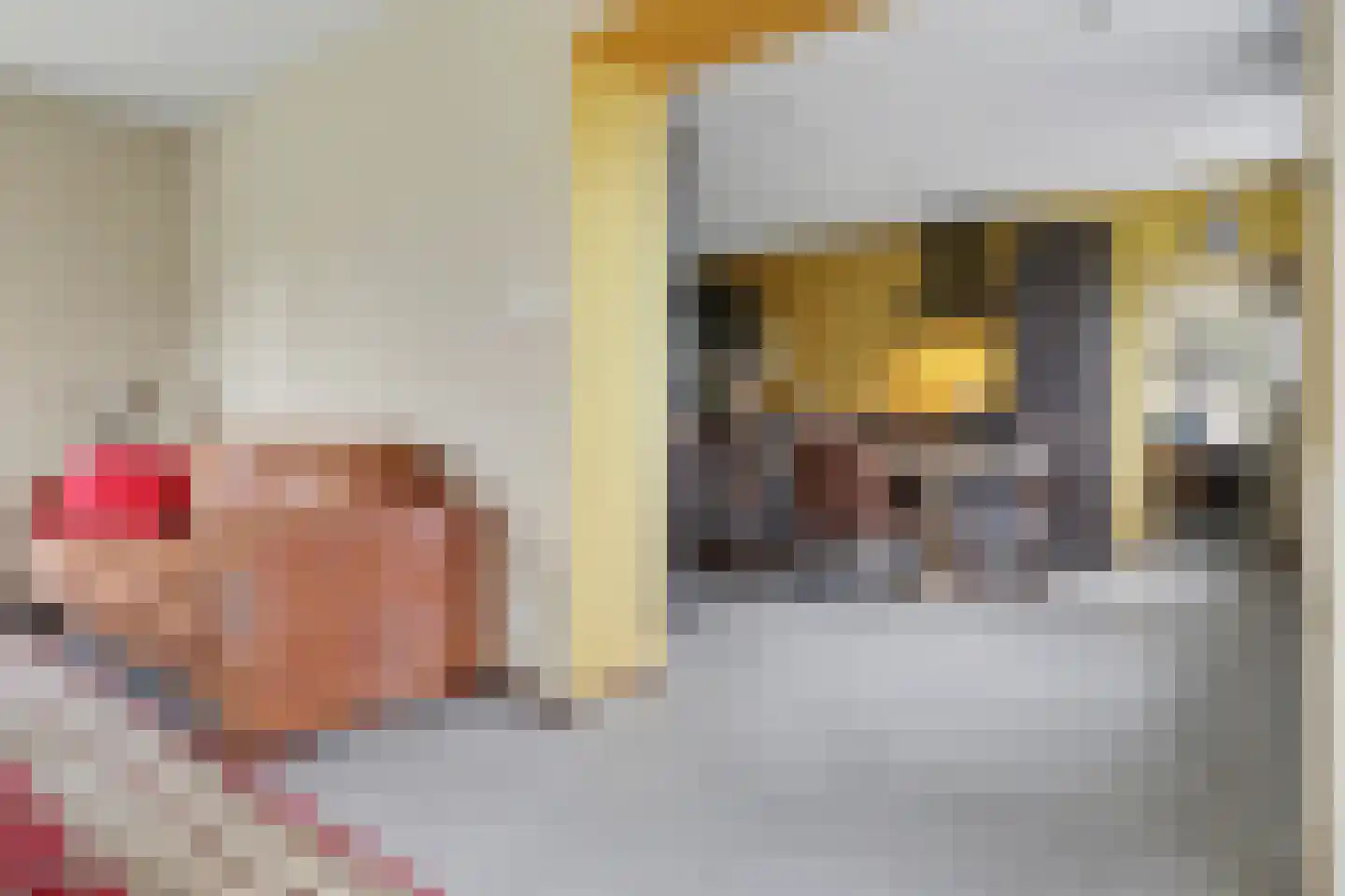 Ridderweg 4 Serooskerke thumbnail 13