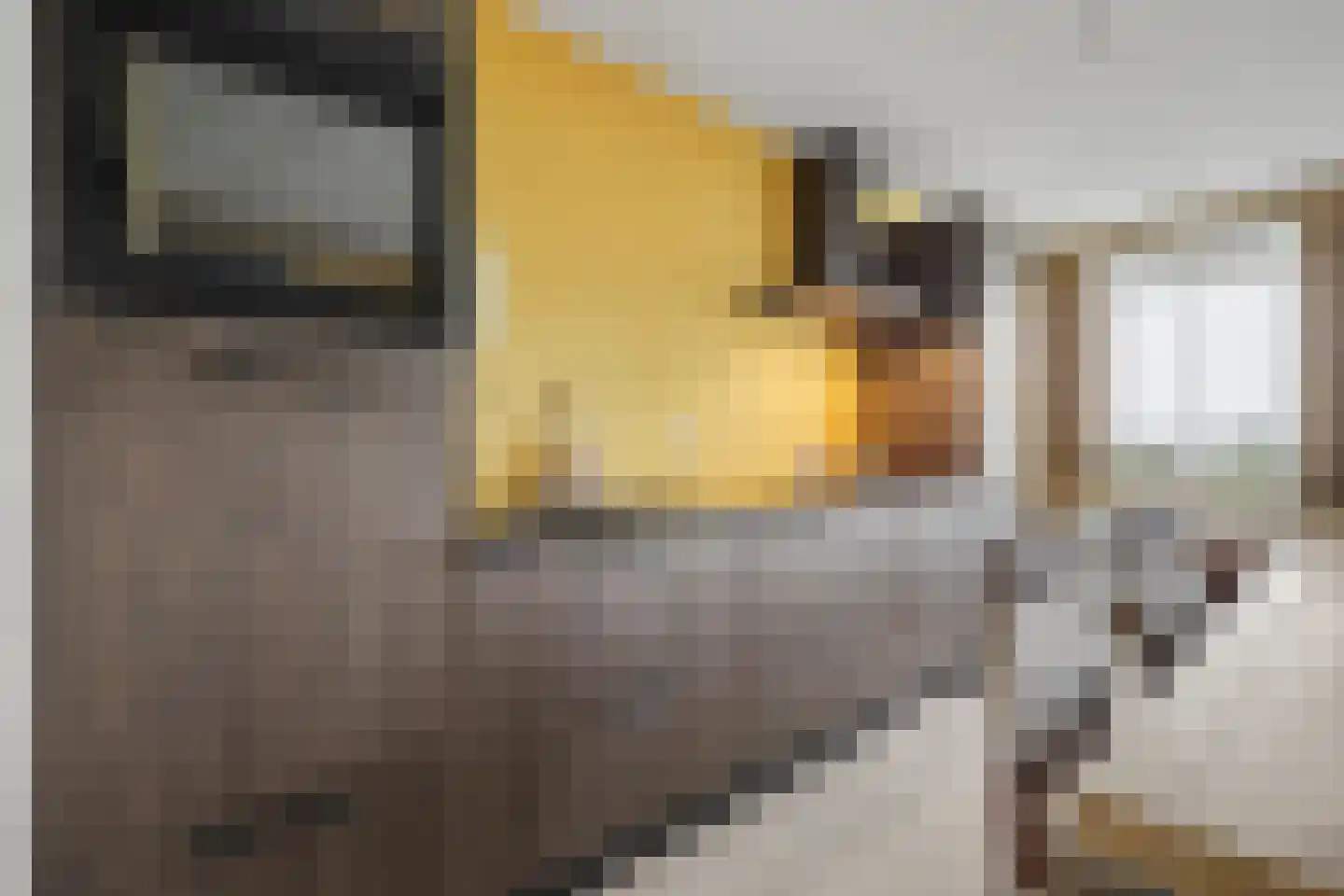 Ridderweg 4 Serooskerke thumbnail 19