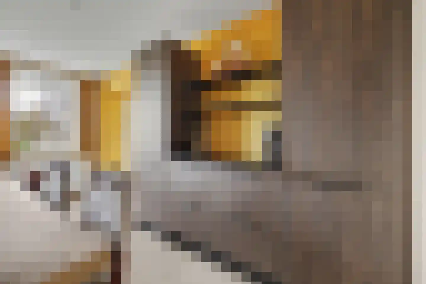 Ridderweg 4 Serooskerke thumbnail 20