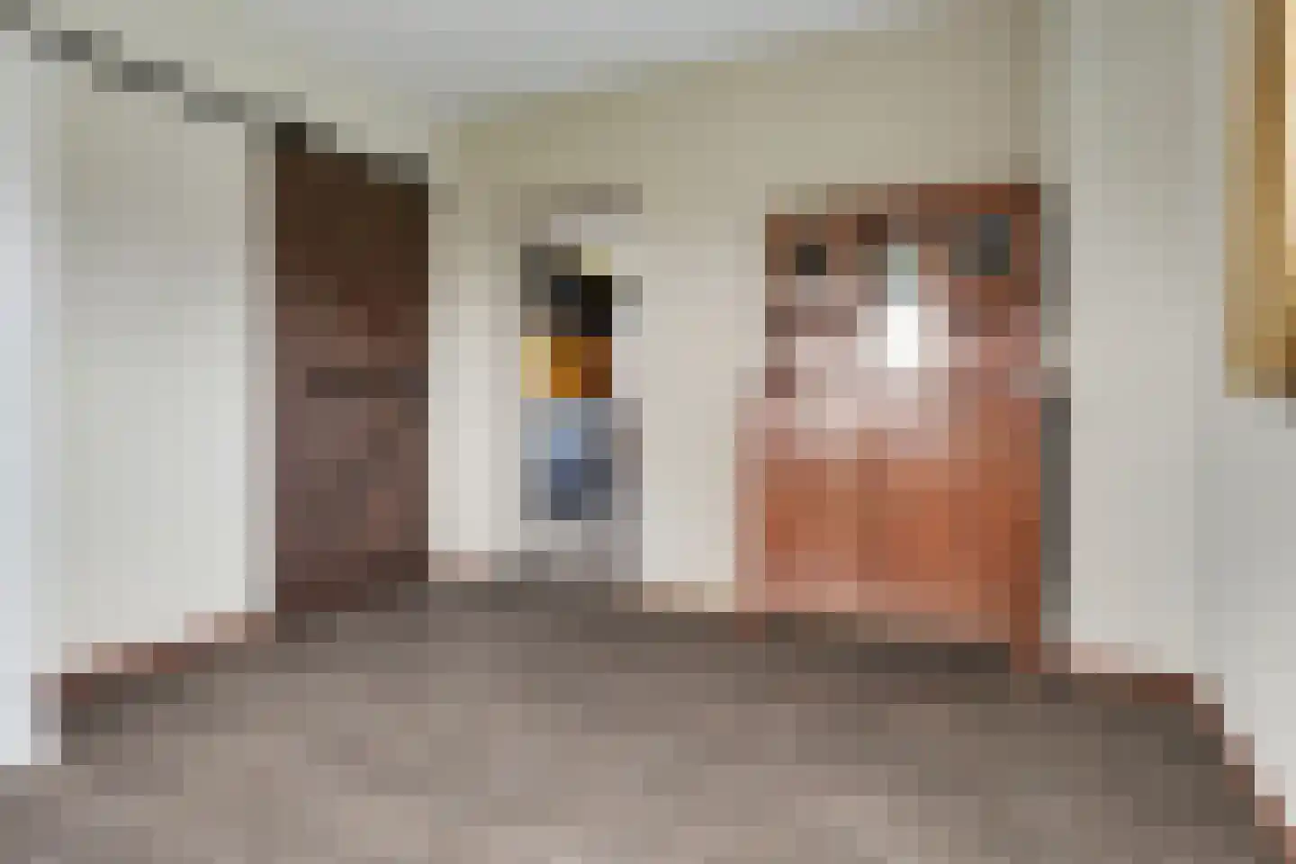 Ridderweg 4 Serooskerke thumbnail 26