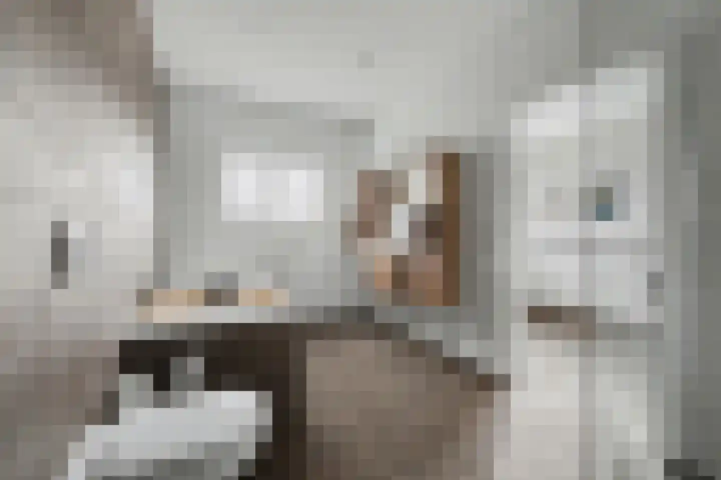 Ridderweg 4 Serooskerke thumbnail 32