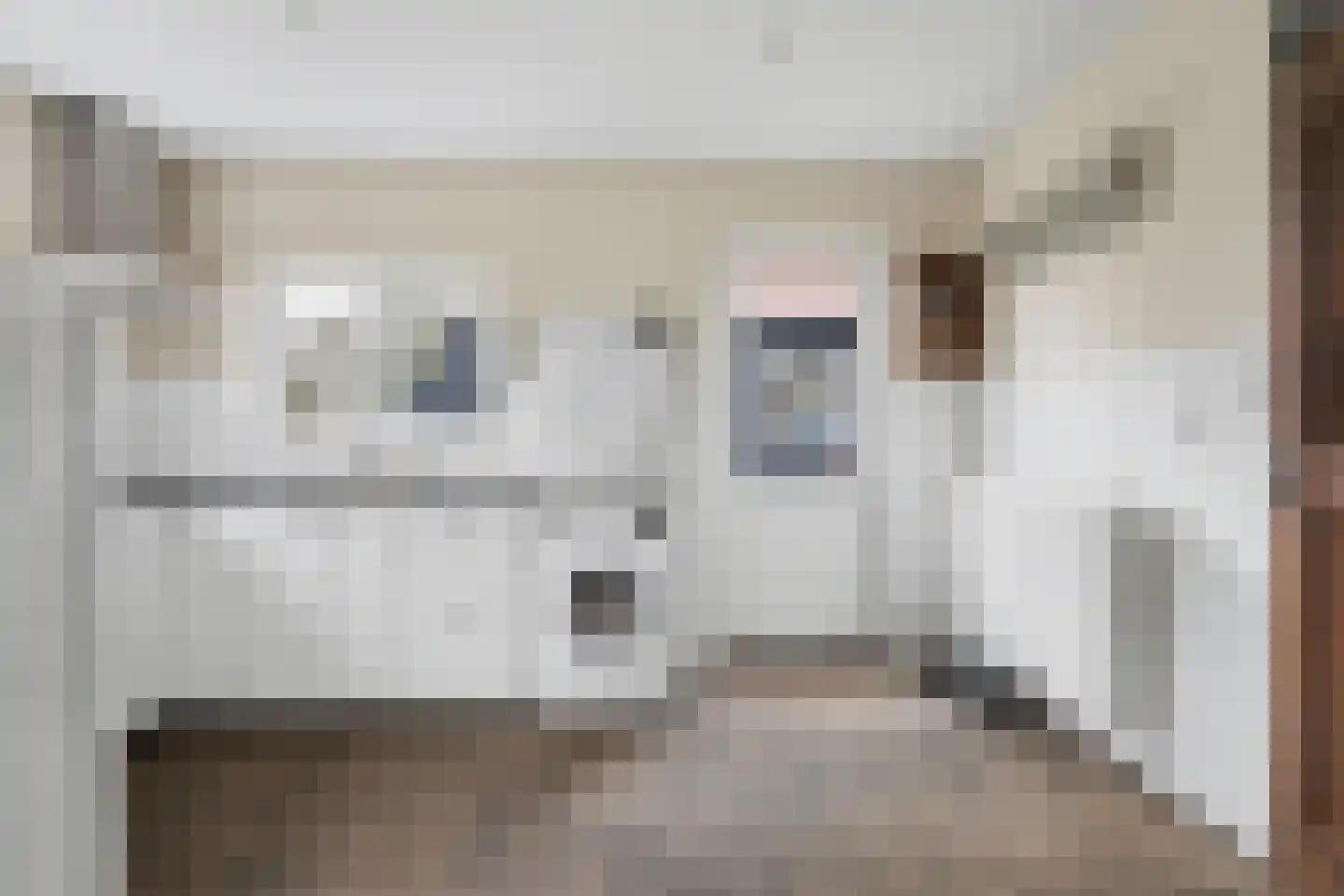 Ridderweg 4 Serooskerke thumbnail 39