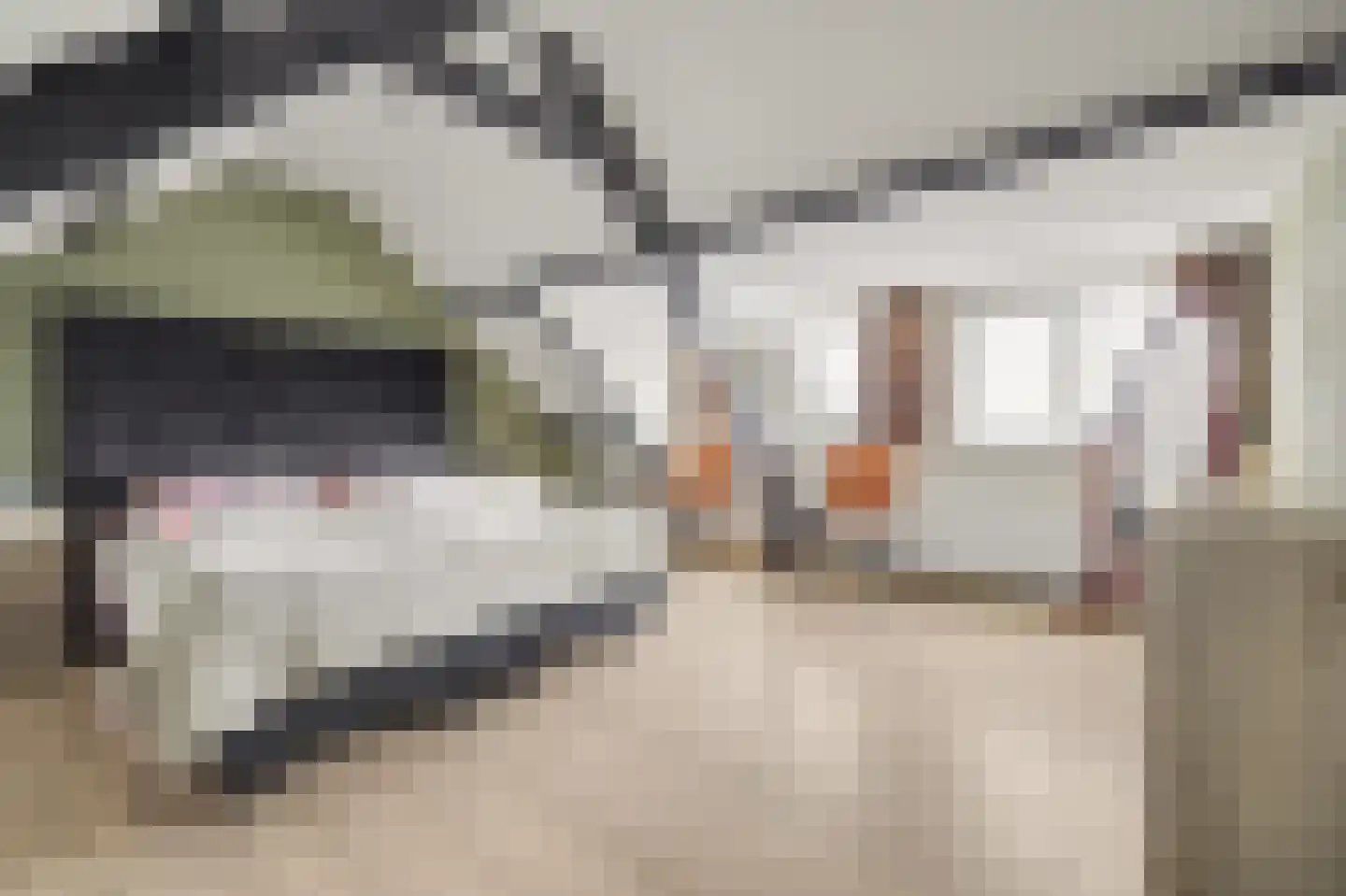 Ridderweg 4 Serooskerke thumbnail 43