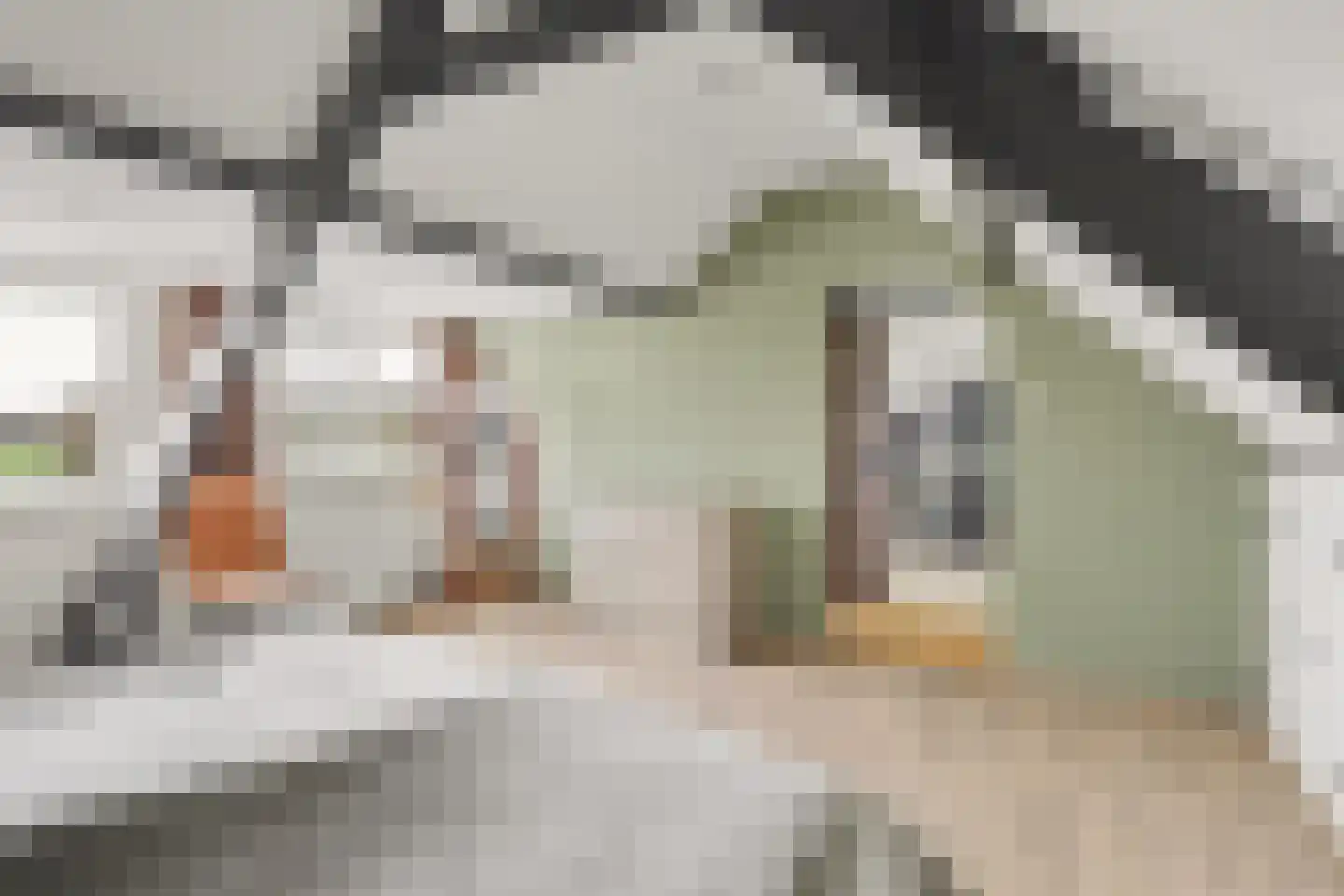 Ridderweg 4 Serooskerke thumbnail 45
