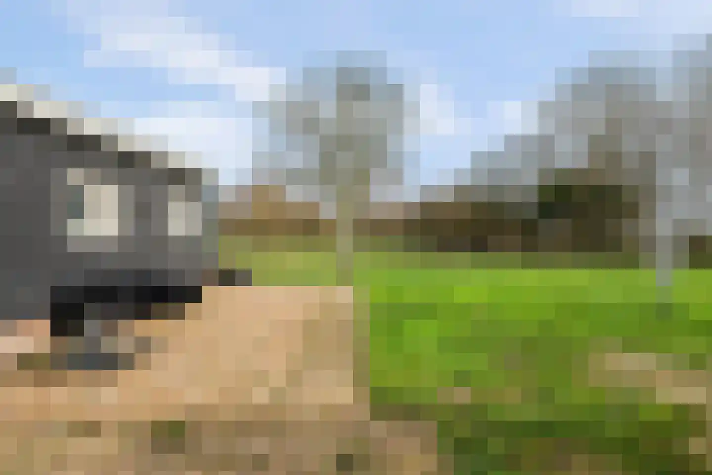 Ridderweg 4 Serooskerke thumbnail 62
