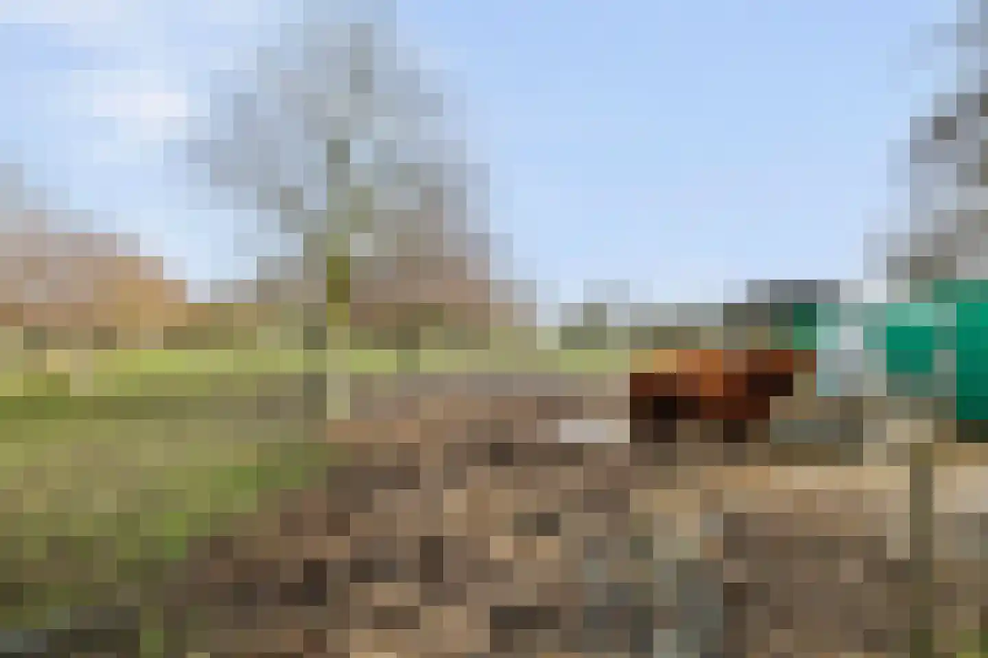 Ridderweg 4 Serooskerke thumbnail 68