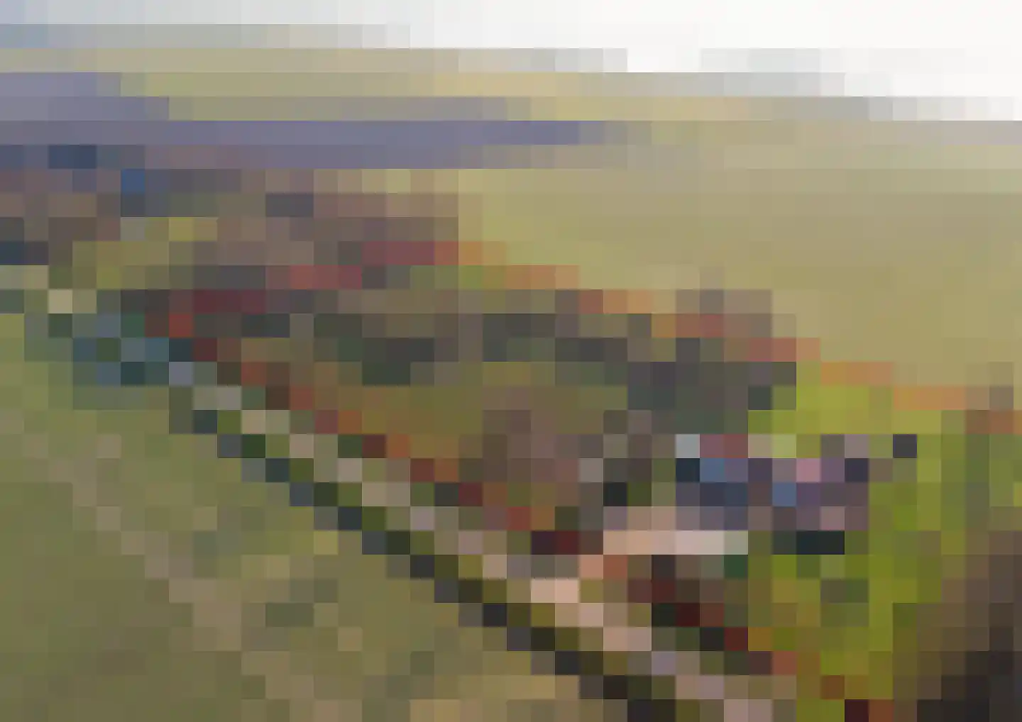 Ridderweg 4 Serooskerke thumbnail 7