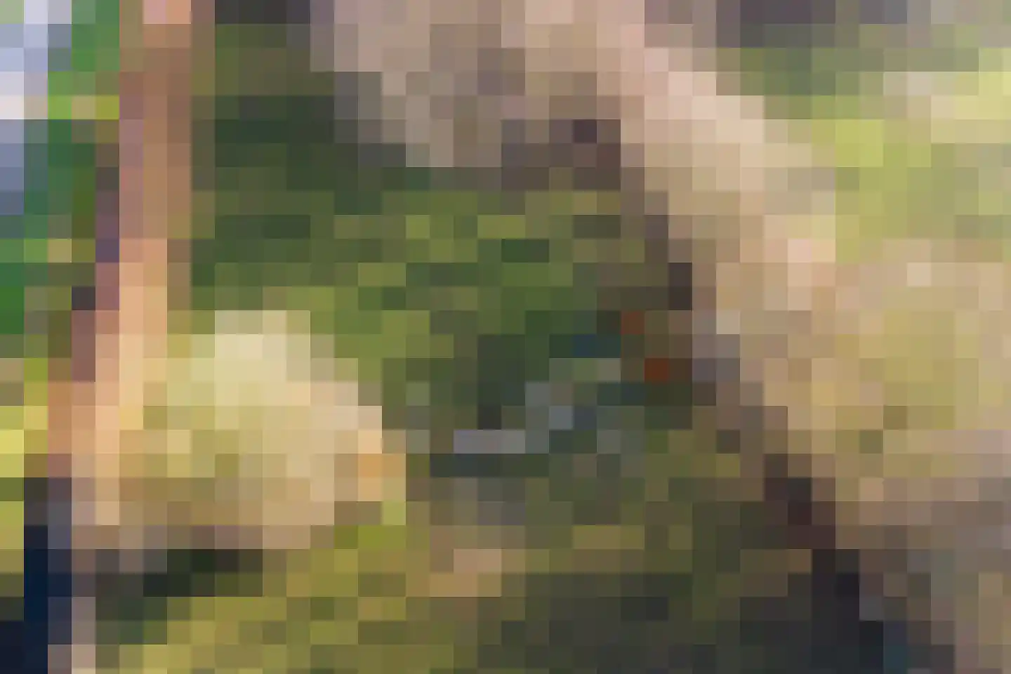 Ridderweg 4 Serooskerke thumbnail 78