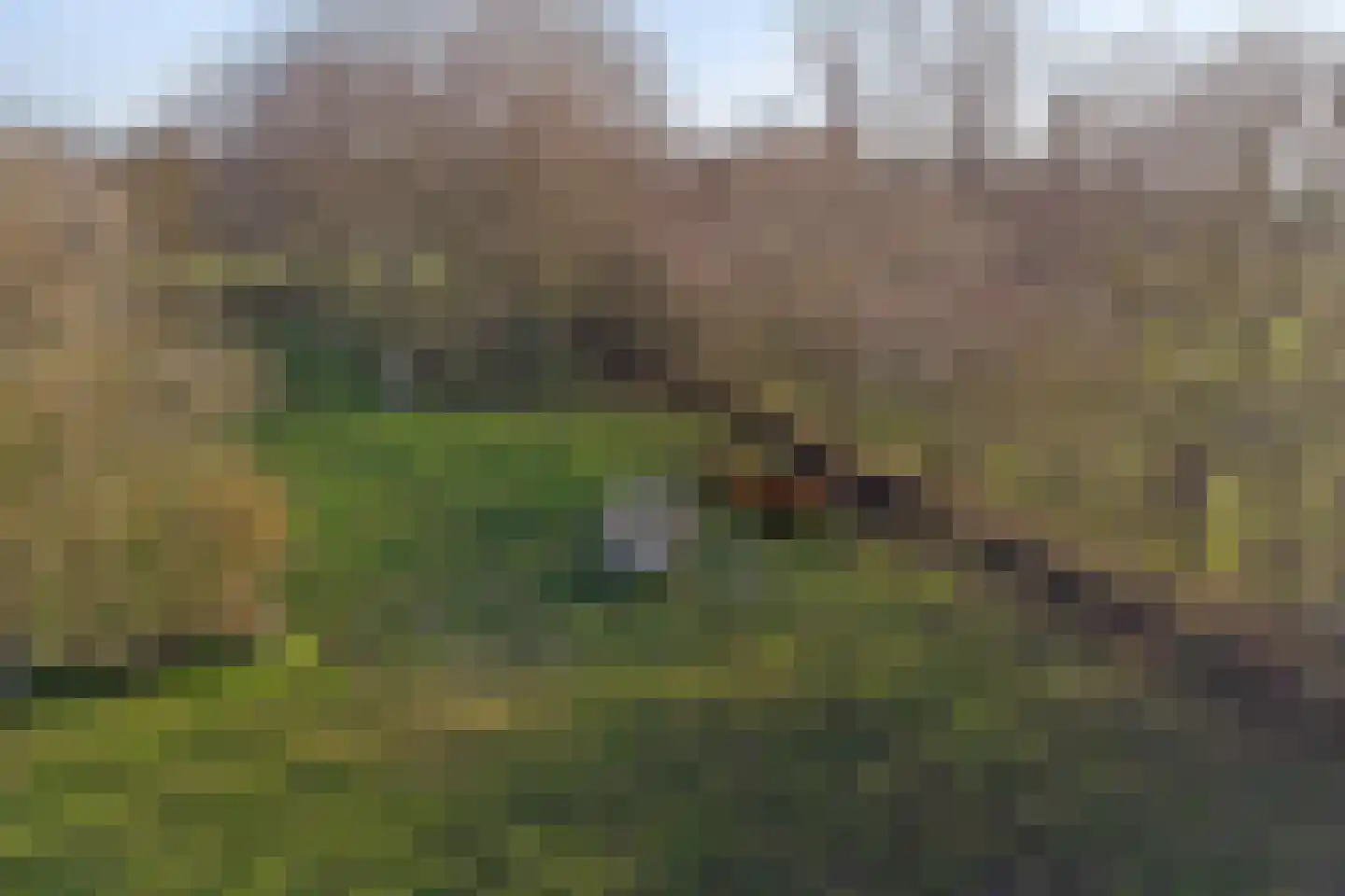 Ridderweg 4 Serooskerke thumbnail 8