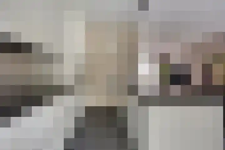 Ridderzaal 2 Eindhoven thumbnail 11
