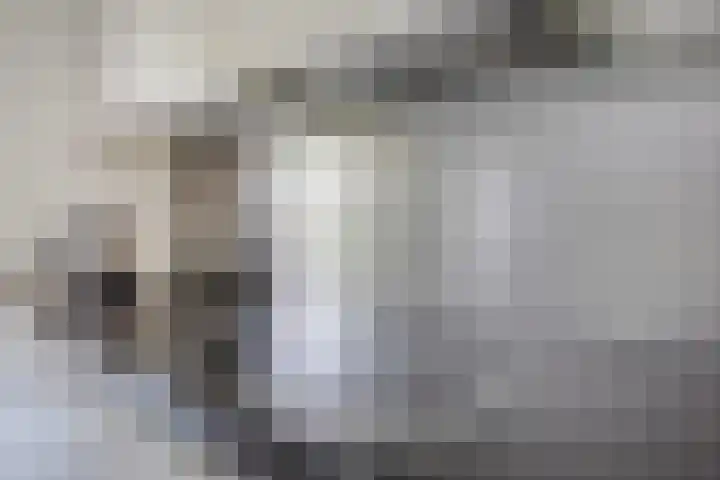 Ridderzaal 2 Eindhoven thumbnail 12