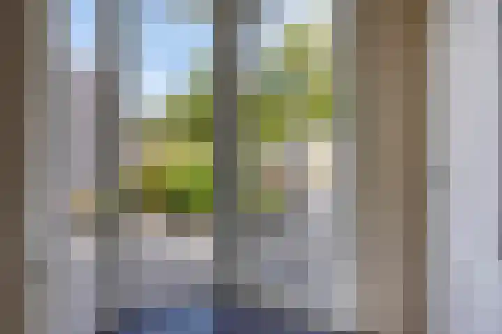 Ridderzaal 2 Eindhoven thumbnail 14