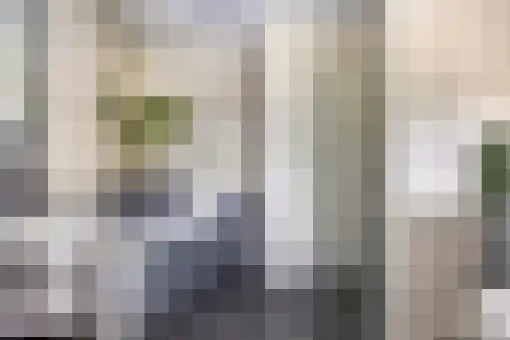 Ridderzaal 2 Eindhoven thumbnail 17