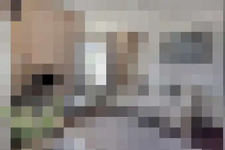 Ridderzaal 2 Eindhoven thumbnail 20