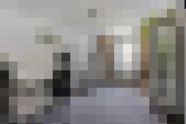 Ridderzaal 2 Eindhoven thumbnail 21