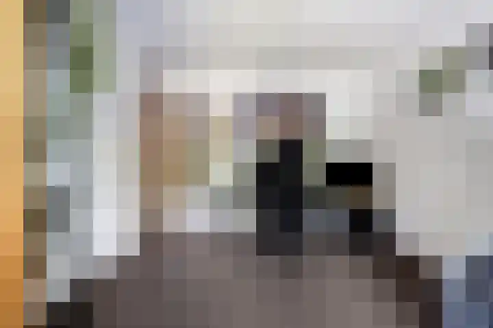 Ridderzaal 2 Eindhoven thumbnail 22