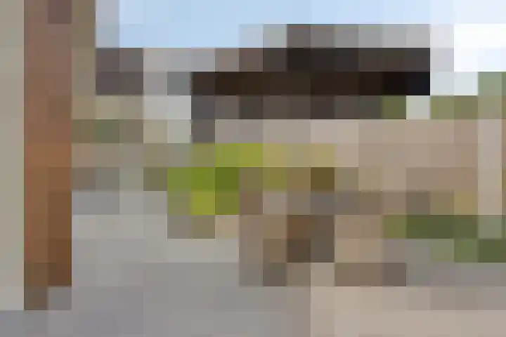 Ridderzaal 2 Eindhoven thumbnail 27