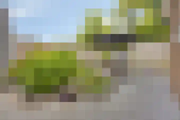 Ridderzaal 2 Eindhoven thumbnail 30