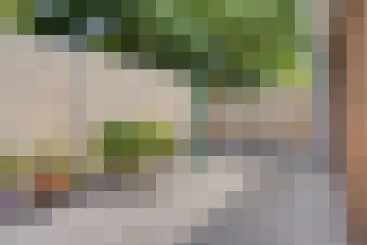 Ridderzaal 2 Eindhoven thumbnail 31