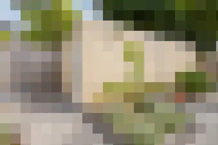 Ridderzaal 2 Eindhoven thumbnail 32