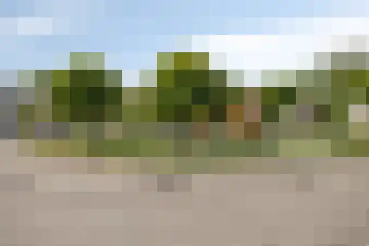 Ridderzaal 2 Eindhoven thumbnail 36