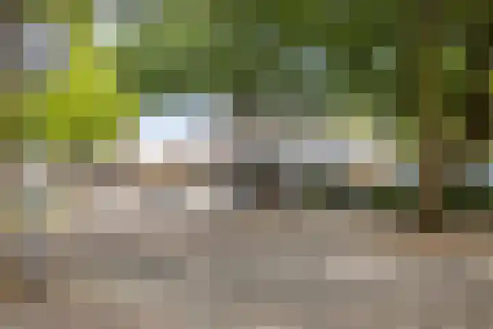 Ridderzaal 2 Eindhoven thumbnail 37