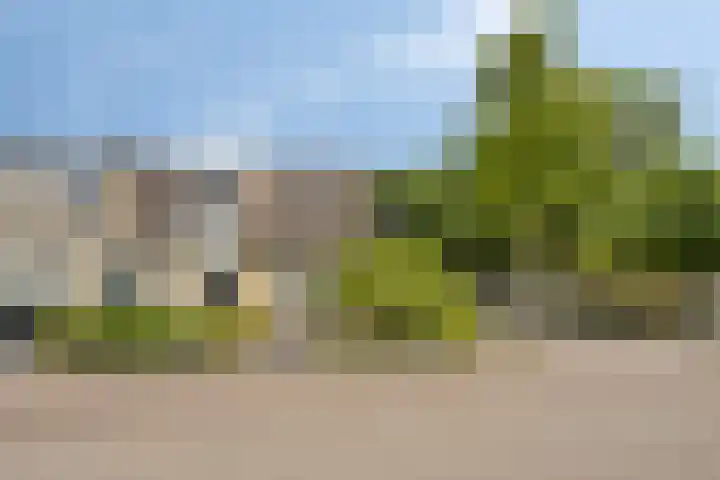 Ridderzaal 2 Eindhoven thumbnail 4