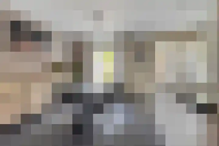Ridderzaal 2 Eindhoven thumbnail 9