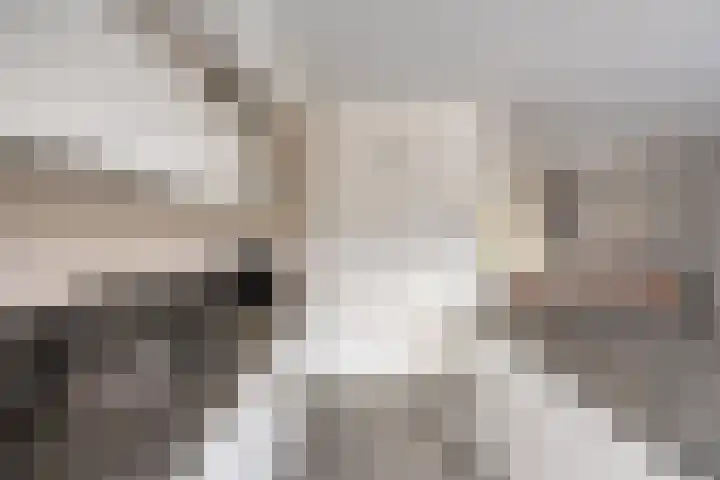 Ridderzaal 23 Eindhoven thumbnail 14