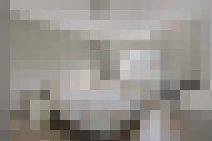 Ridderzaal 23 Eindhoven thumbnail 18