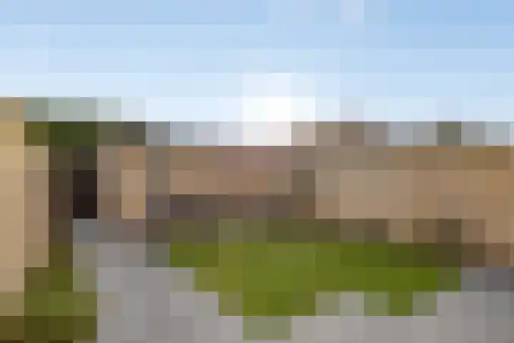 Ridderzaal 23 Eindhoven thumbnail 4