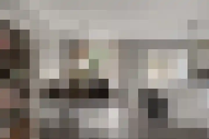 Ridderzaal 23 Eindhoven thumbnail 9