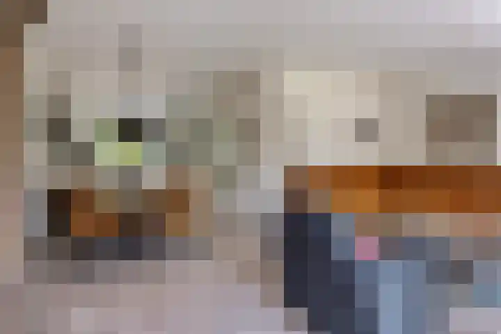 Ridderzaal 29 Eindhoven thumbnail 13