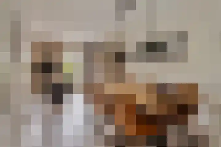 Ridderzaal 29 Eindhoven thumbnail 15