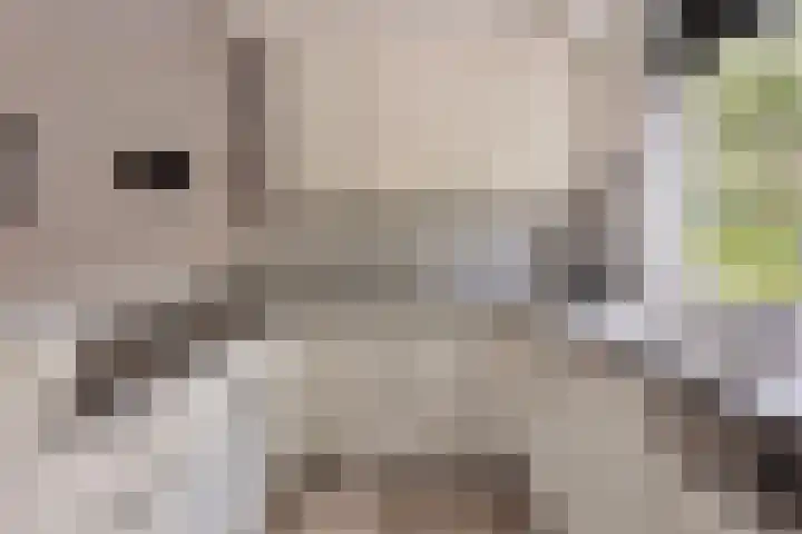 Ridderzaal 29 Eindhoven thumbnail 18