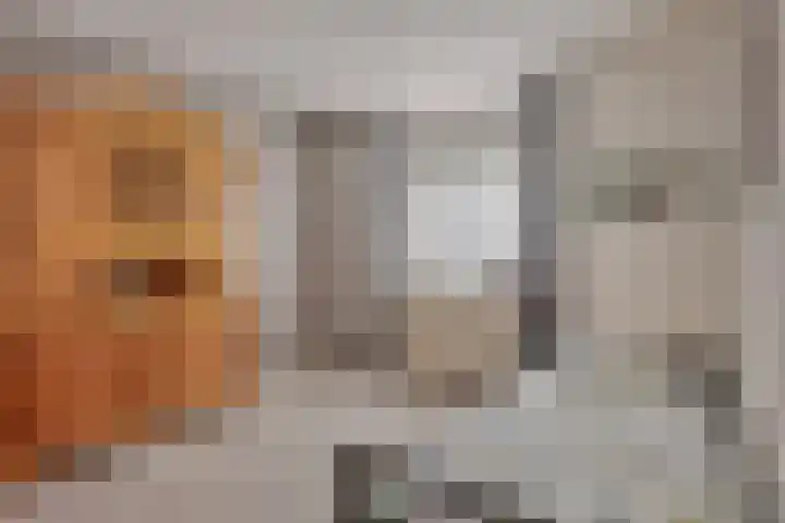 Ridderzaal 29 Eindhoven thumbnail 22