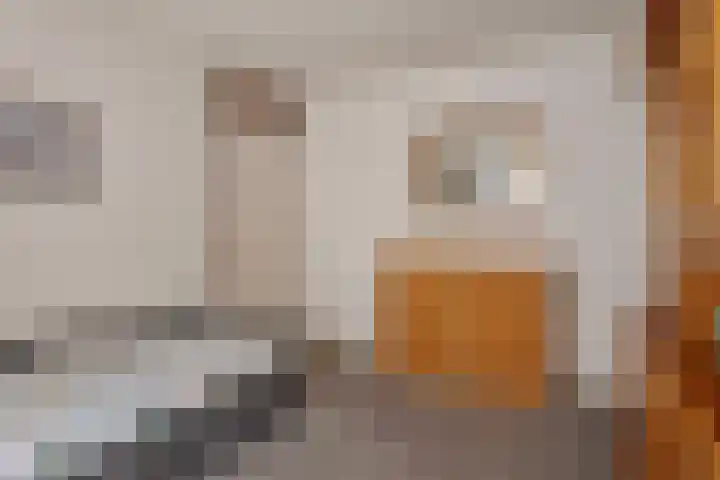 Ridderzaal 29 Eindhoven thumbnail 23