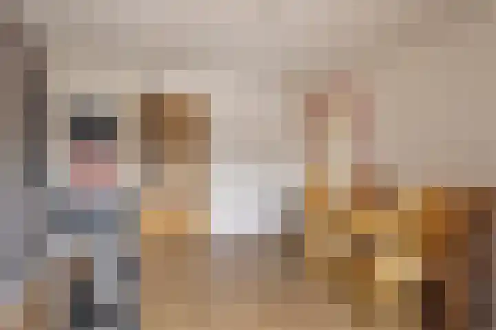 Ridderzaal 29 Eindhoven thumbnail 32
