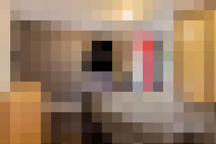 Ridderzaal 29 Eindhoven thumbnail 33