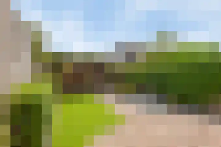 Ridderzaal 29 Eindhoven thumbnail 38
