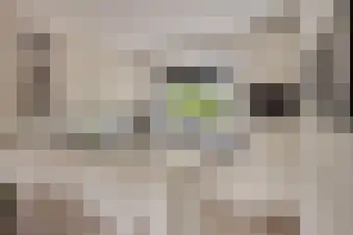 Ridderzaal 29 Eindhoven thumbnail 4