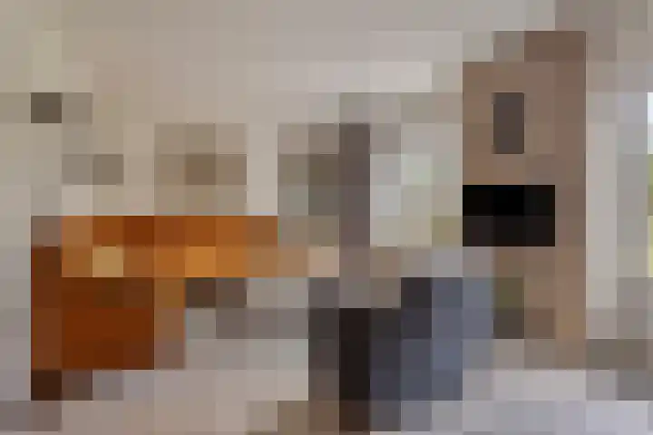 Ridderzaal 29 Eindhoven thumbnail 9