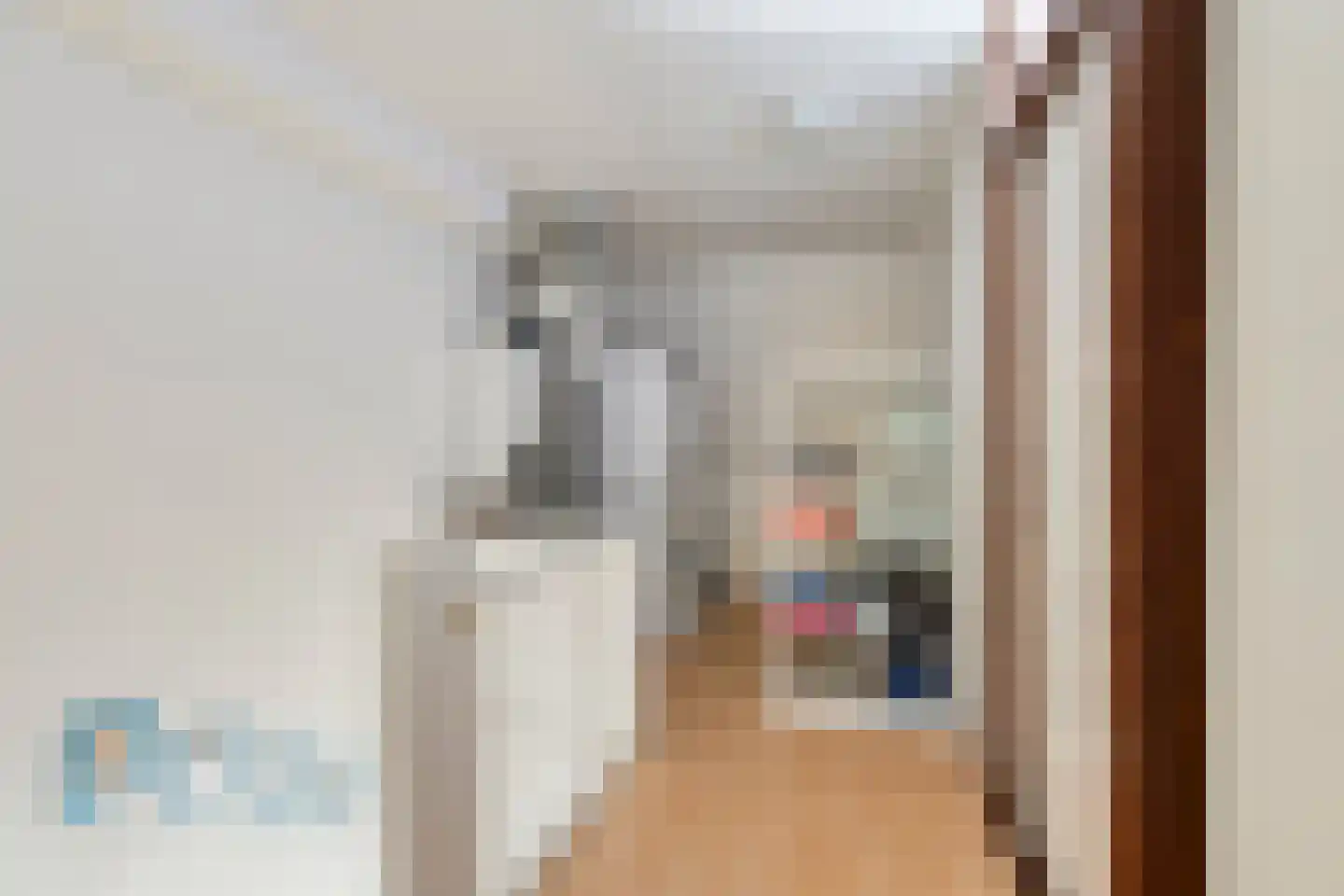 Ridderzaal 36 Eindhoven thumbnail 19