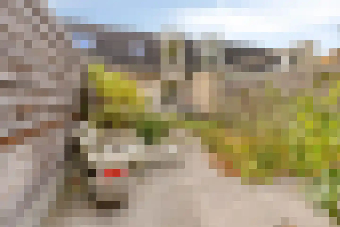Ridderzaal 36 Eindhoven thumbnail 26