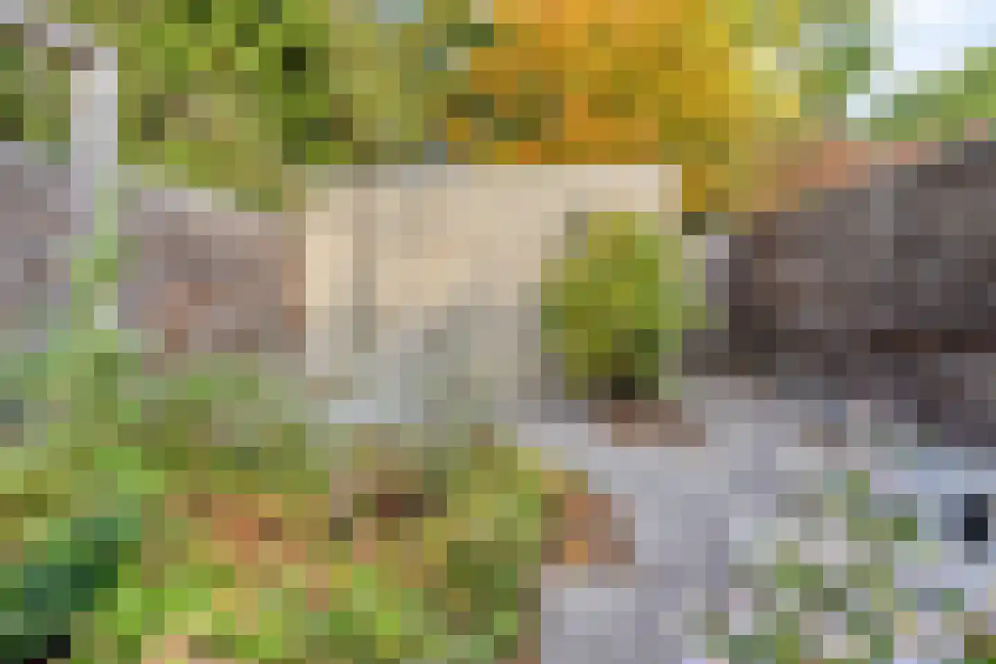 Ridderzaal 36 Eindhoven thumbnail 27