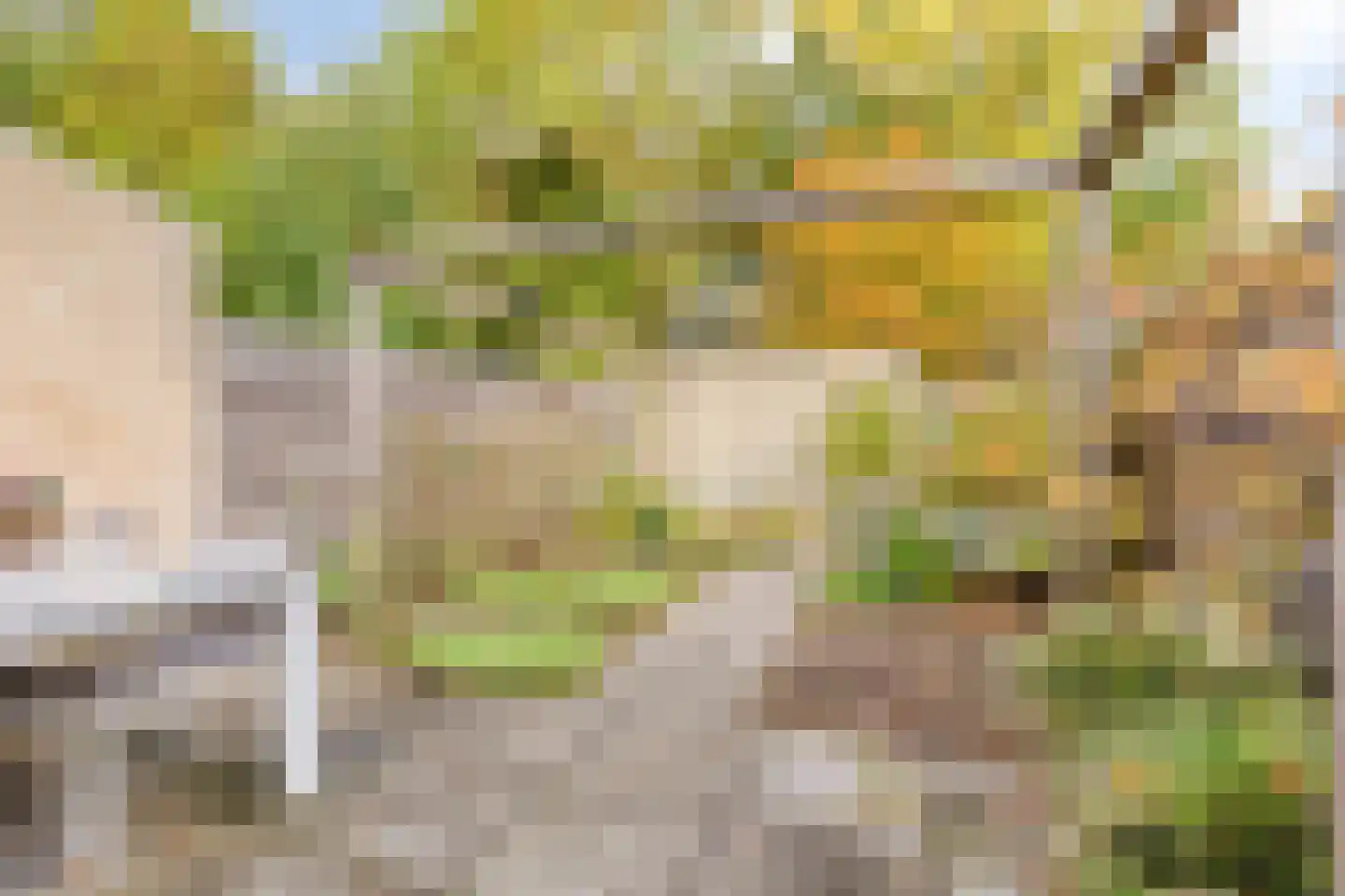 Ridderzaal 36 Eindhoven thumbnail 7