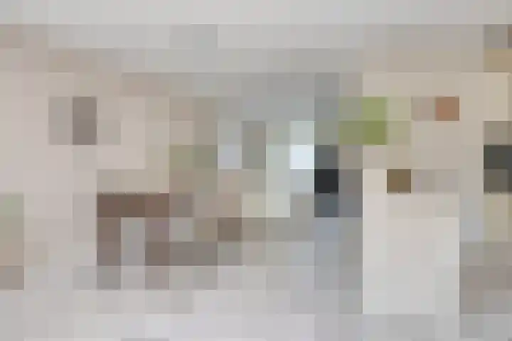 Ridderzaal 37 Eindhoven thumbnail 10
